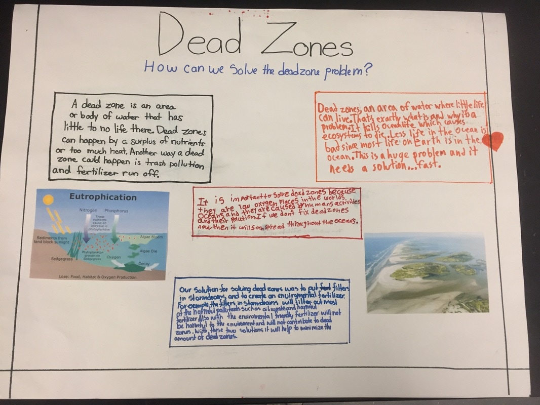 dead zone case study quizlet